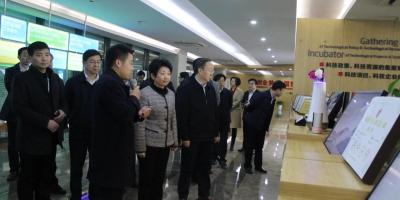 江苏省委常委、常务副省长黄莉新一行调研南京未来网络小镇，参观体验WULIAN展厅