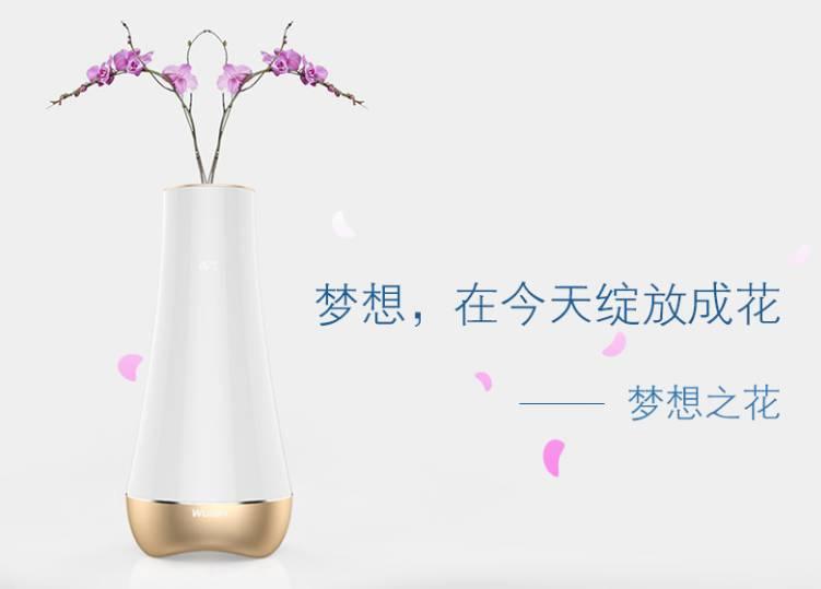 智慧花瓶Dream Flower获2015消费电子行业Leader创新奖趋势设计大奖