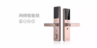 这是你想要的网络智能锁吗？不妨看看