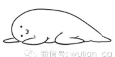 条条躺枪的经典社交现象