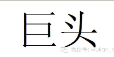 巨头的模式