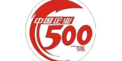 中国民营500强明细