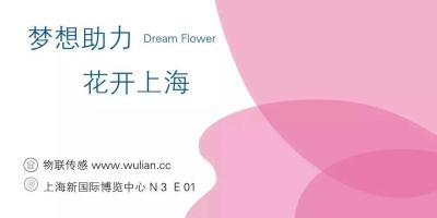 【梦想助力，花开上海】所有的打磨只为更从容的绽放