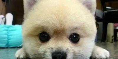 智能家居：我们能对语音控制期待多少？
