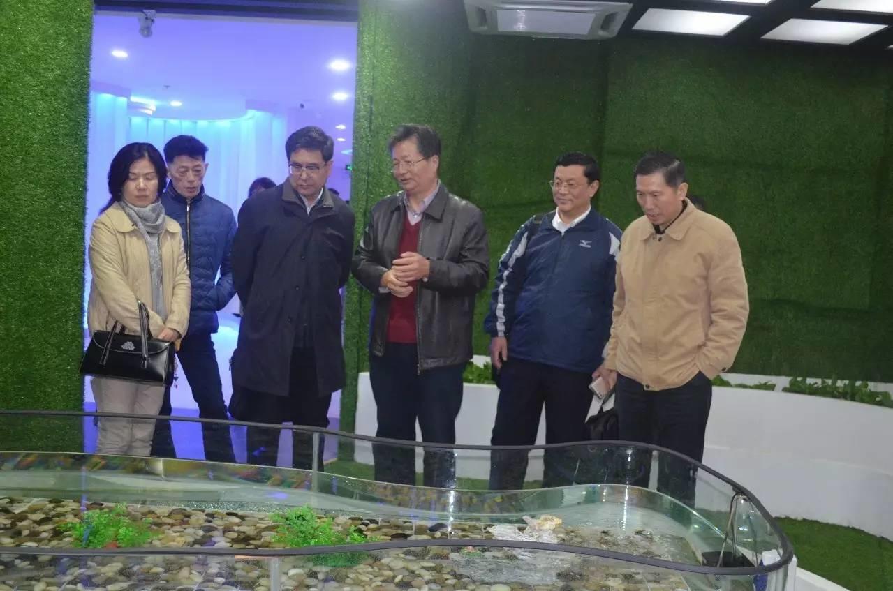 上海市人大代表一行人参观Wulian智能家居产品
