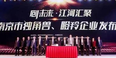 权威见证｜南京要培育16家独角兽企业，WULIAN立志要做南京新名片
