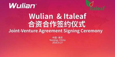 Wulian与意大利Italeaf成立合资公司，聚焦智能建筑节能