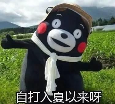自打入夏以来啊，我就独得太阳恩宠~