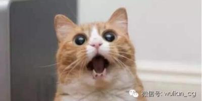 整个世界都在谈它