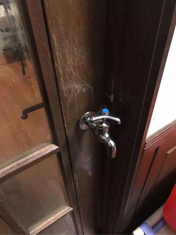 “铲屎官”们：你家的门终于有得救了！