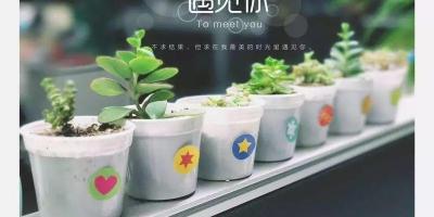 【康康教学】康康教你如何在官网找资料