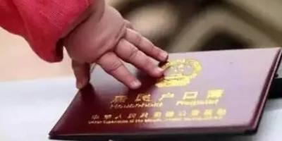 【风向标】哈尔滨这次玩大了！真开干了！