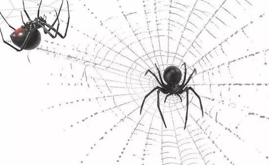 从蜘蛛网到物联网 人类走了多久