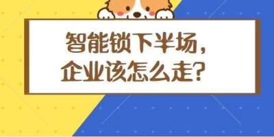 冷思考｜智能锁行业的2019年该怎么走？