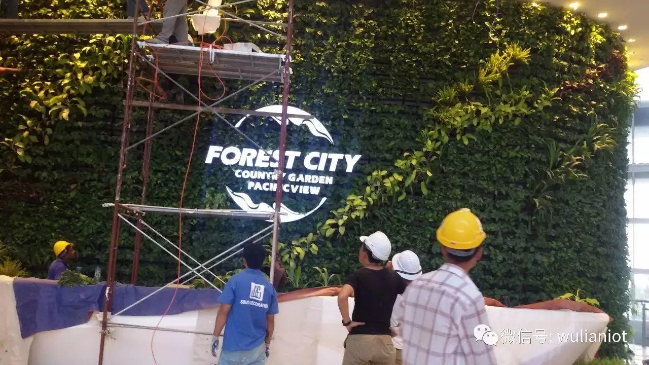 碧桂园·森林城市 智能化展示