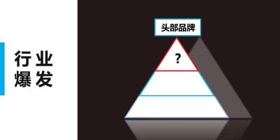智能锁市场2018爆发期，究竟谁能形成“头部品牌”？