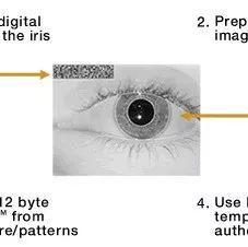 智能锁常见的六种生物识别技术原理解析