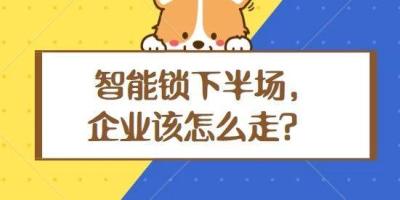冷思考｜智能锁行业的下半场该怎么走？